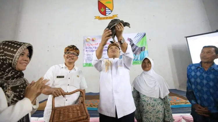 4.279 RTM Terima Bantuan 189 Ribu Benih Ayam Sentul