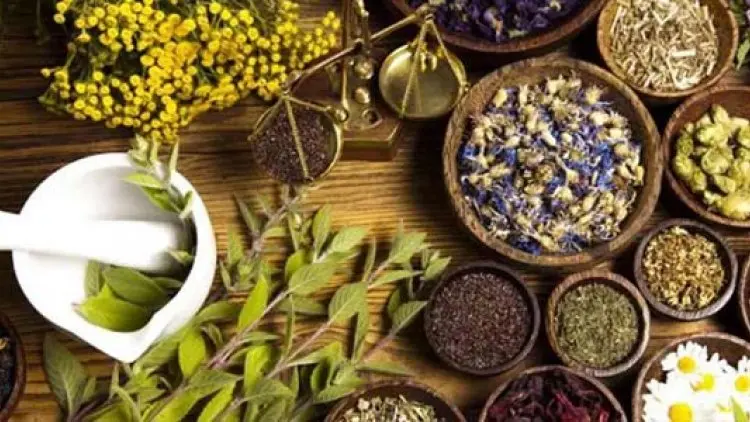 Obat Herbal di Indonesia Masih Tertinggal