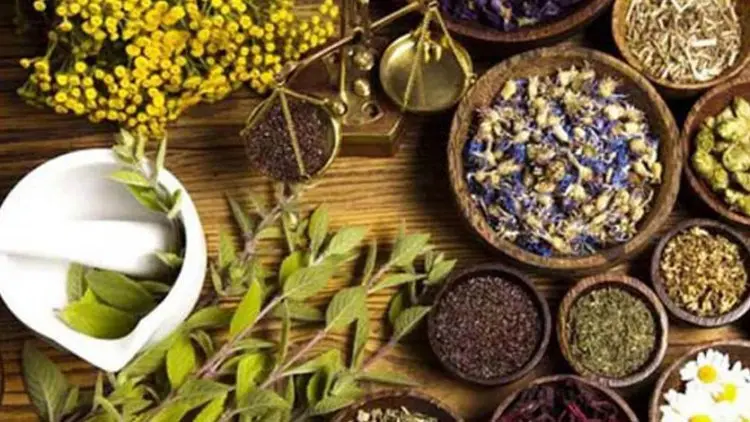 Obat Herbal di Indonesia Masih Tertinggal