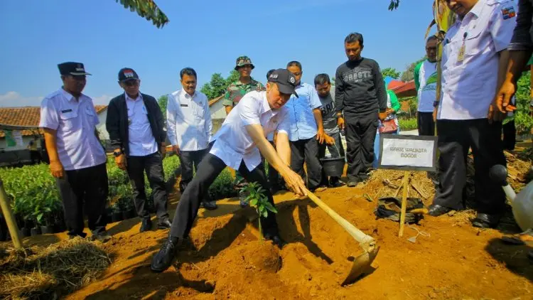 Kampung Alpukat Bogor Bisa Jadi Wisata Edukasi Pertanian