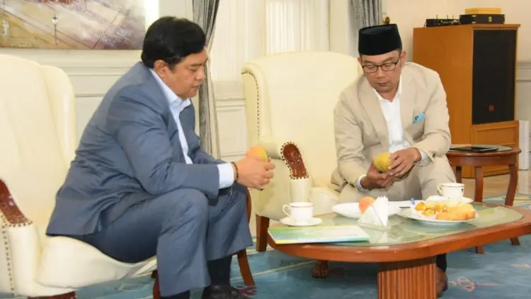 Tarik Investor Korea, Emil Tawarkan Beragam Potensi Menggiurkan