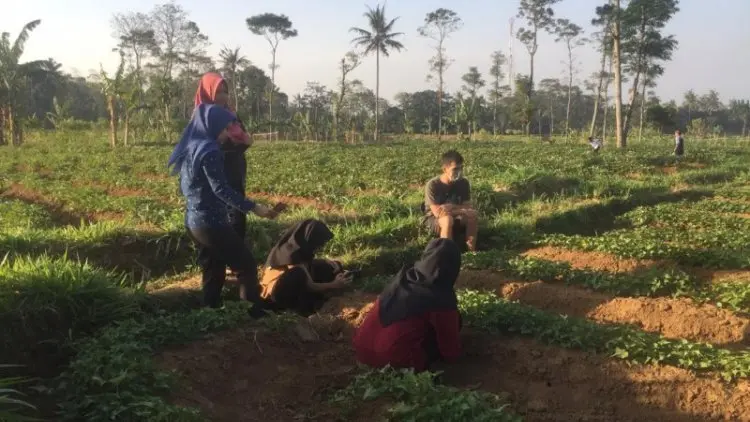 IPB Diseminasikan Mikroba dari Gunung Ciremai untuk Pertanian