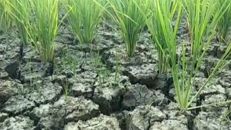 Pemkab Bogor Mohon Pembangunan Waduk Cijuray ke Kemen PUPR