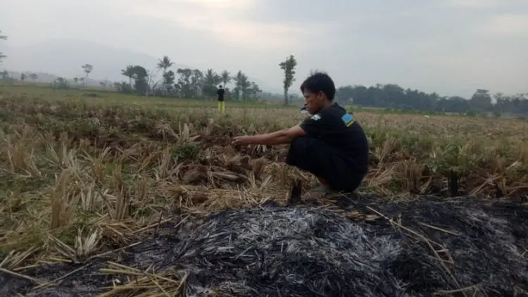 Meski Miliki Sumber Air, Cianjur Tetap Dilanda Kemarau