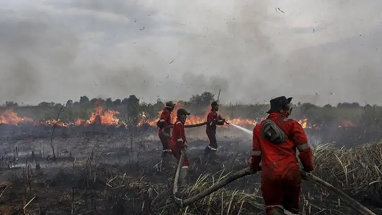Kepala BNPB: Hentikan Pembakaran Hutan dan Lahan!