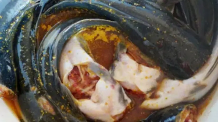 Agar Hidangan Lele Lezat, Jangan Beli yang Sudah Mati