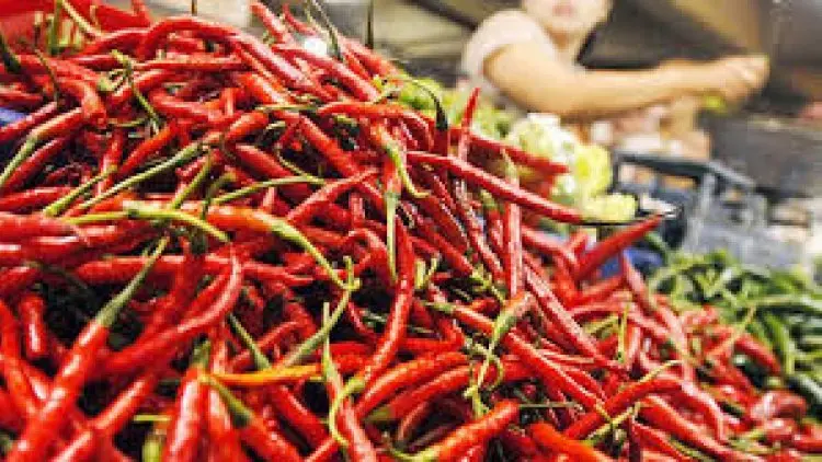 Kemarau, Harga Cabai di Bogor Makin Pedas