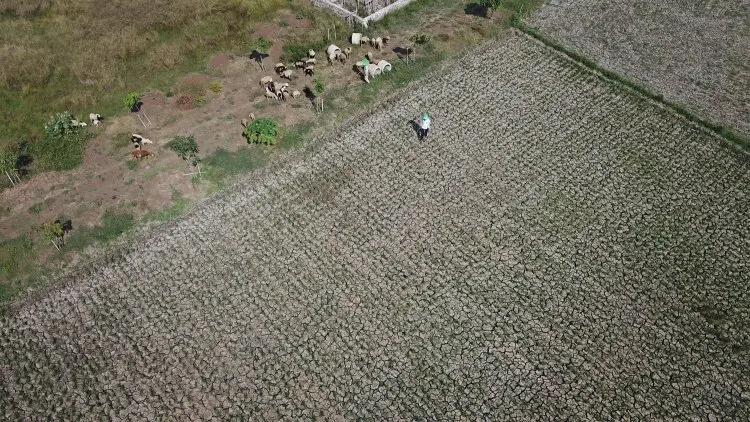 7 Kecamatan di Sukabumi Mulai Sulit Cari Air Bersih