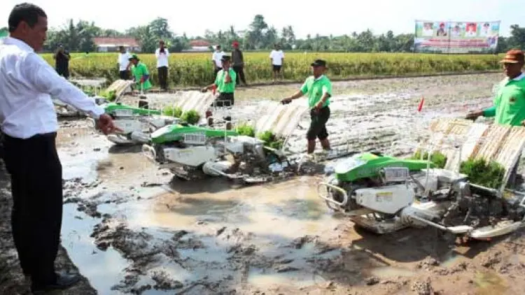 Manfaat Alsintan Rice Transplanter untuk Pertanian