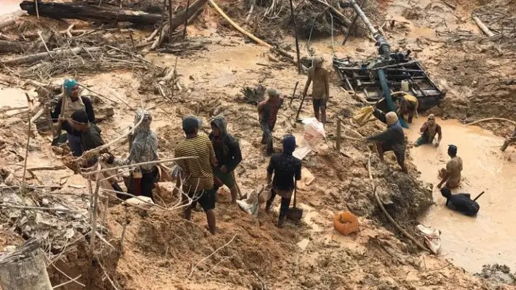 Jangan Tunggu Tambang Emas Ilegal Makan Korban