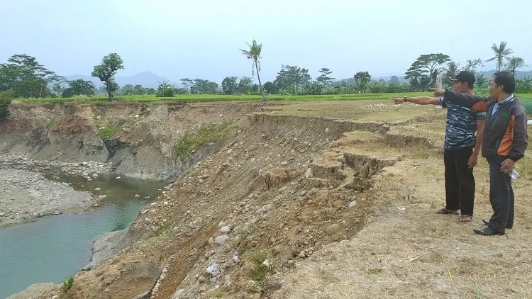 8.000 Meter Sawah 'Hilang', Warga Jagaita Minta Dibangunkan TPT