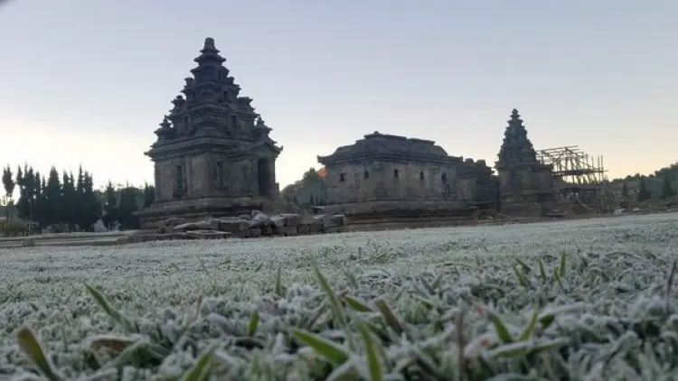 Hamparan Embun Es Selimuti Dataran Tinggi Dieng