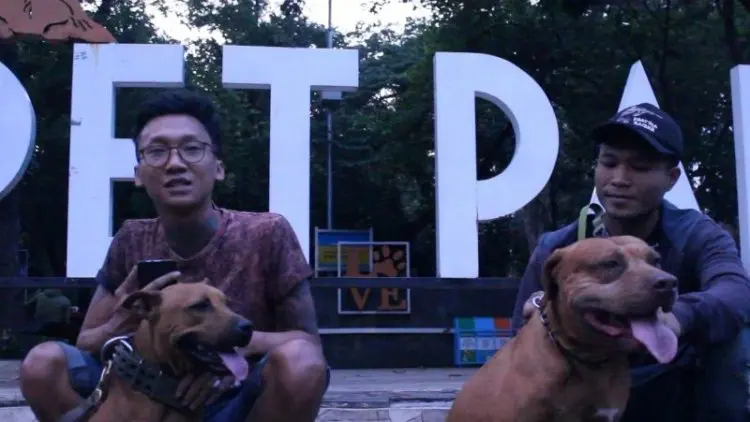 Duh, Warga Bandung Keluhkan Pet Park yang Tak Terawat