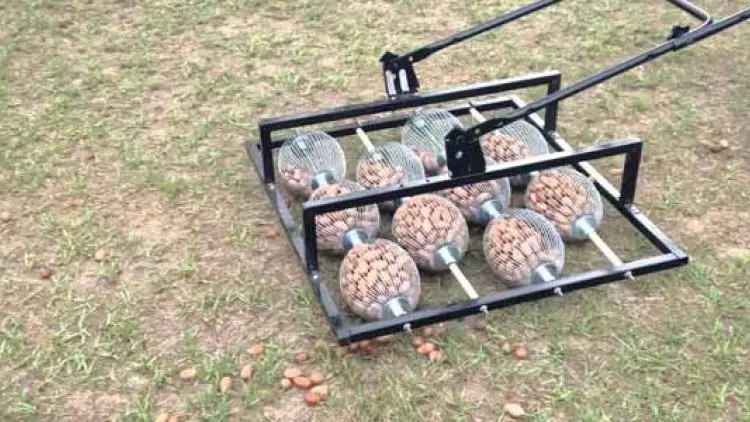 Alat Khusus untuk Memungut Buah yang Jatuh
