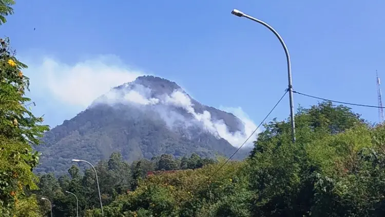 Waspada! Kebakaran Gunung Panderman Semakin Meluas