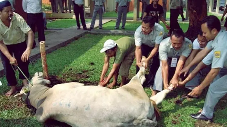 Berkurban Atas Nama Orang Meninggal Kenapa tidak?