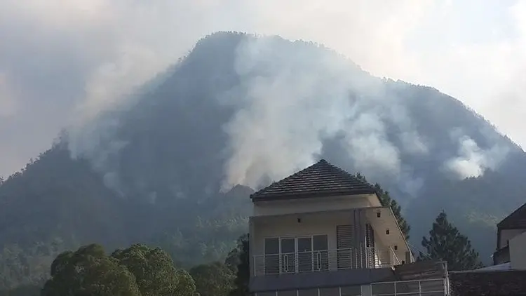 KPH Malang Padamkan Karhutla di Gunung Panderman