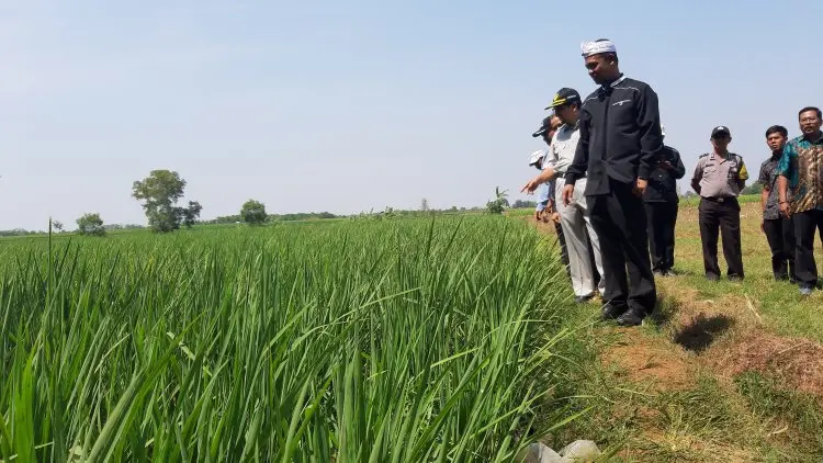 Selain Pompa Air, Kementan Siapkan Bantuan Pembuatan Embung