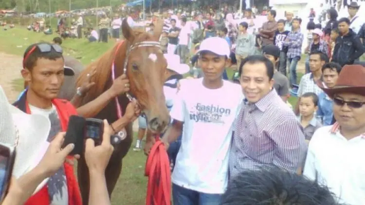 Mengintip Rahasia Perawatan Kuda Pacu Payakumbuh