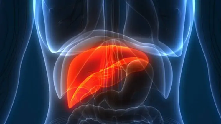 Dekan FKUI: Masyarakat Kerap Tak Sadar Idap Hepatitis