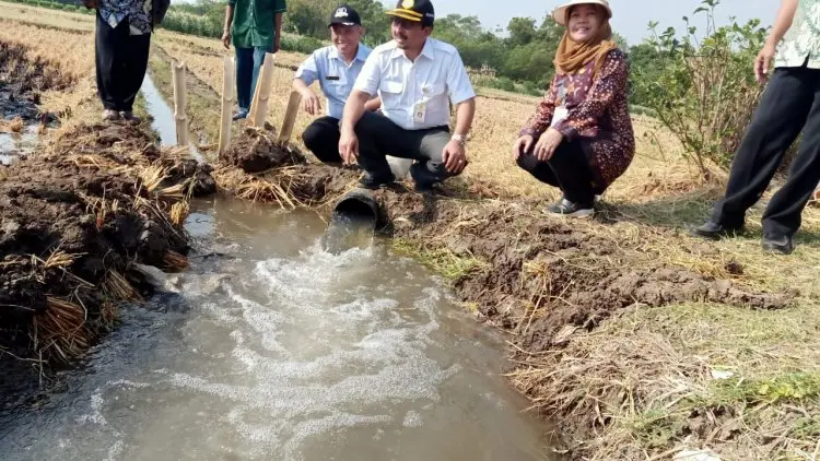 Pompanisasi Selamatkan Lahan Pertanian Purwakarta
