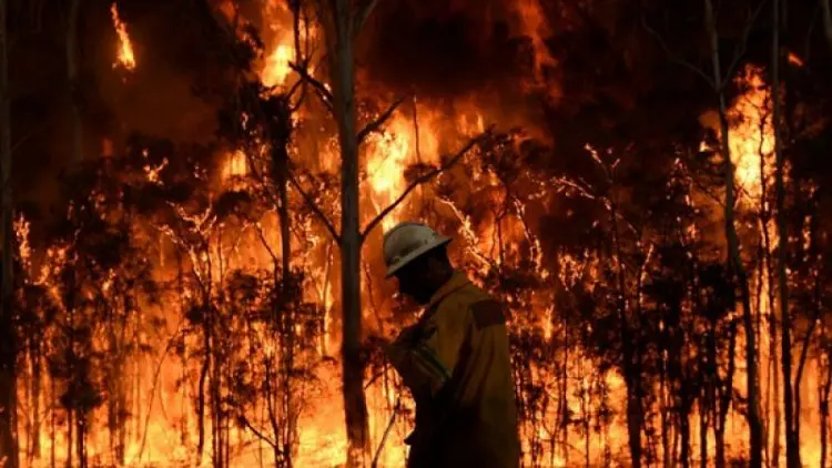 Pantai Timur Australia Berjuang Hadapi 100 Kebakaran Hutan