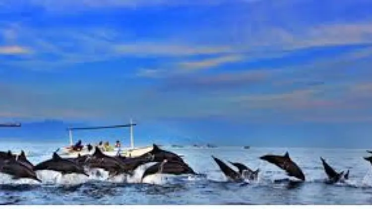"Fishing Competition" di Lovina-Buleleng Jadi Atraksi Wisata Bahari