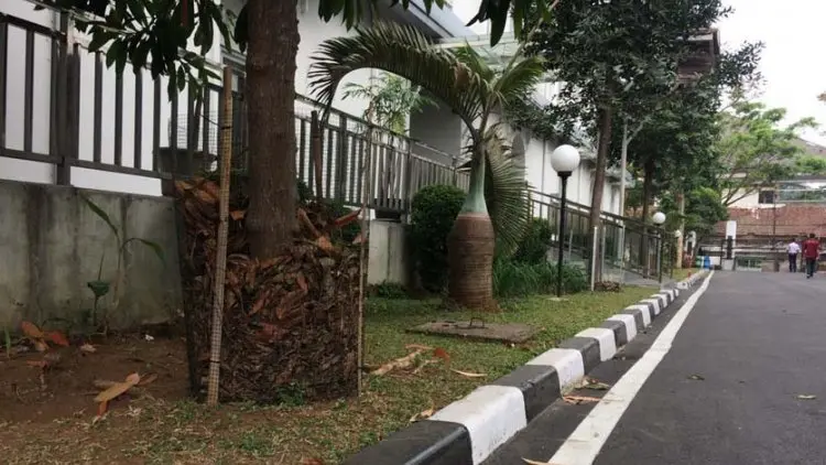 Satu Bentuk Program Kang Pisman, Rumah Daun