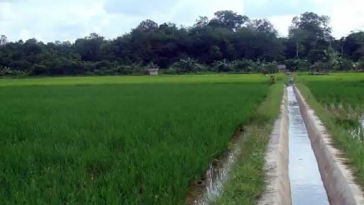 Prioritas, Bangun Daerah Irigasi Baru di Jabar Selatan