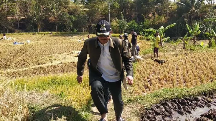 Pemkab Garut Gunakan Pestisida Nabati untuk Cegah Hama Ulat