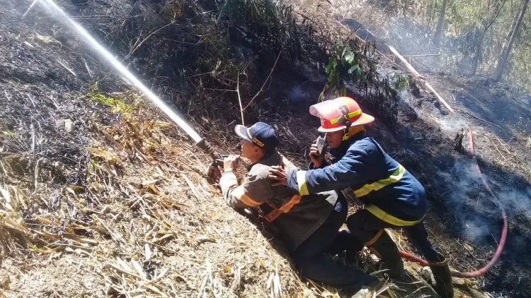 Agustus 2019, Hampir Tiap Hari Terjadi Kebakaran di Garut