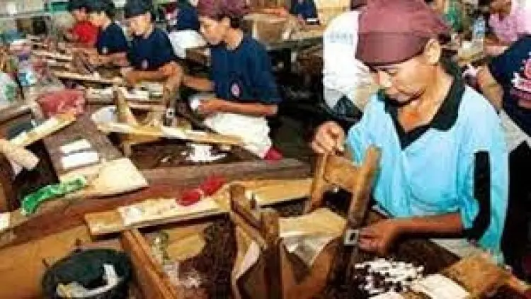Harus Setor Rp200T, Pabrik Rokok Siap Gulung Tikar