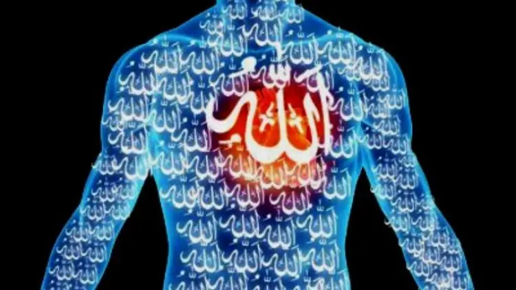 Delapan Karunia Allah di Hati Mukmin