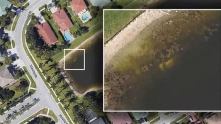Wow, Google Maps Temukan Orang yang Hilang 22 Tahun