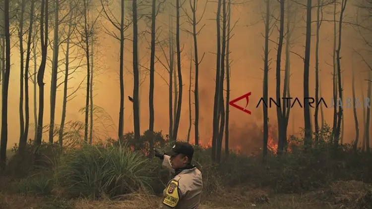 Selamatkan Hutan Perlu Partisipasi Anak Muda
