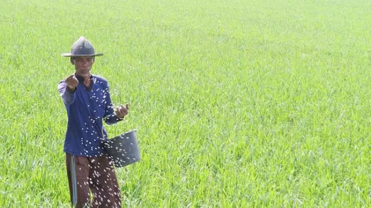 Kementan Siapkan Strategi Pupuk Bersubsidi 2020