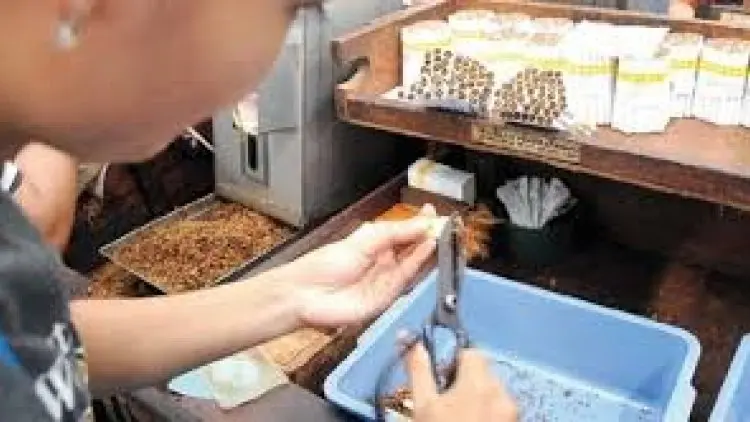 Cukai Rokok 2020 Naik, Jangan Harap Setoran Nambah