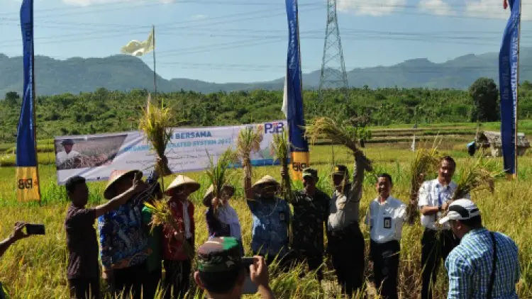 Program KBR dari KLHK Bikin Ekonomi Petani Naik