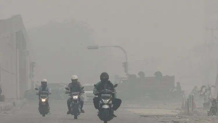 Kebakaran Hutan Menjelma Jadi Persoalan Global