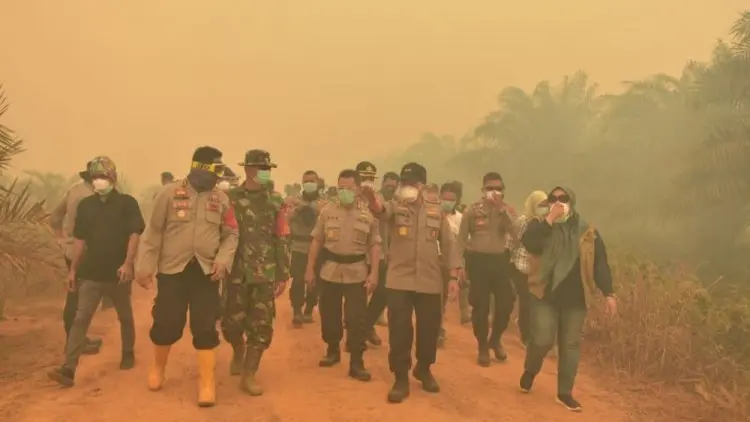 Polda Jambi Tetapkan 37 Tersangka Pembakaran Hutan dan Lahan