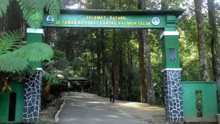 KLHK Dorong Investor Masuk Gunung Halimun-Salak
