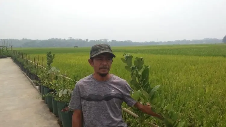Kelompok Tani Kembangkan Wisata Edukasi Pertanian