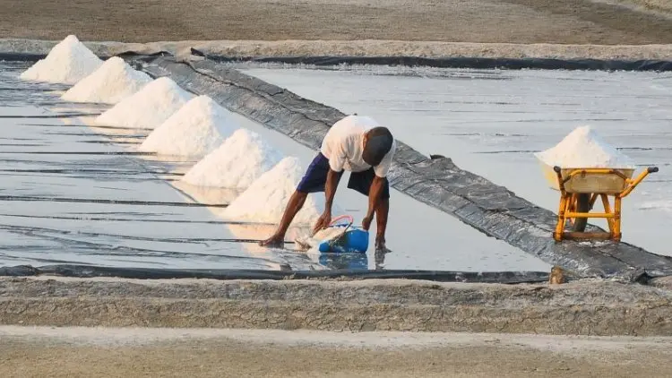 Terlalu, Cuman 30% Garam Lokal Diserap Industri