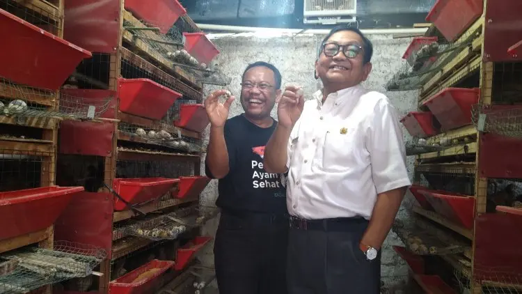 DKPP Jabar Dorong Masyarakat Jajal Urban Farming