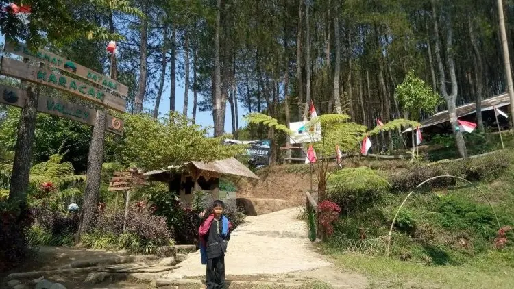 Asyiknya Berburu Spot Instagrammable di Obyek Wisata Hutan Pinus Karacak Valley