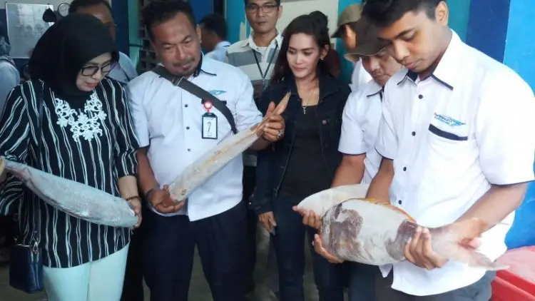 Perindo Perluas Ekspor Gurita dari Natuna ke Jepang
