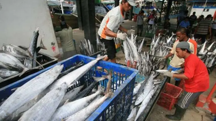 LSM: Aturan Impor Ikan Kemendag Terlalu Longgar