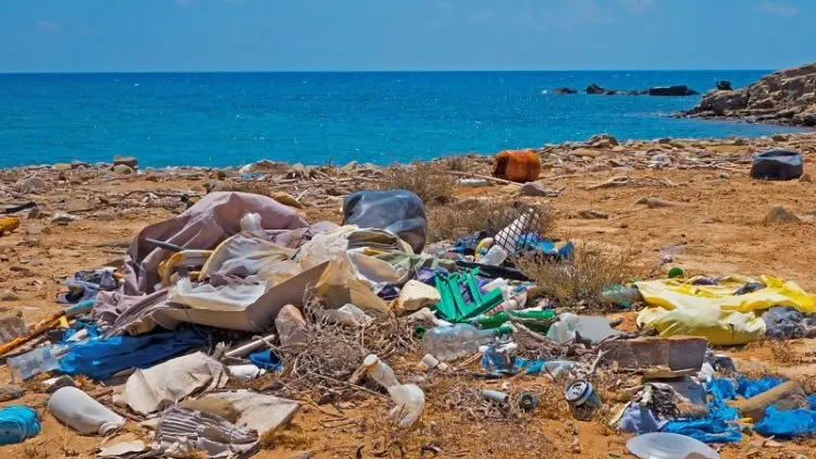 Walhi: Masalah Lingkungan Tak Sekadar Soal Sampah