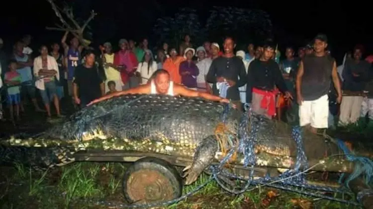 Ilmuwan Temukan Spesies Buaya Baru di Papua Nugini