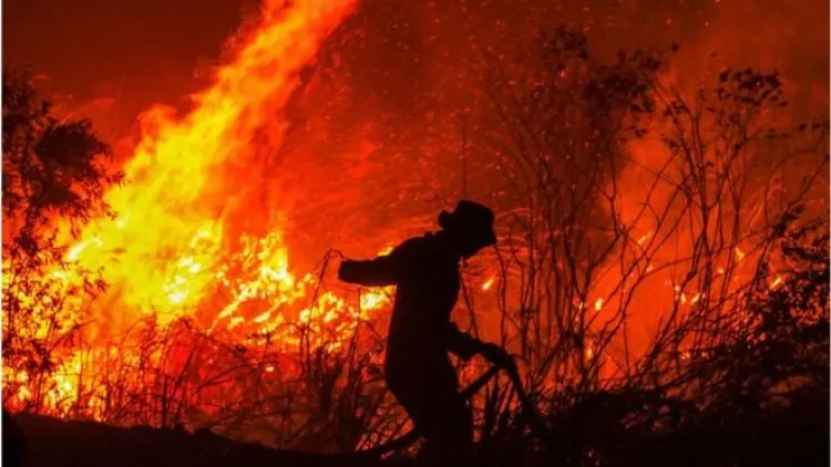 Pembakaran Hutan Disebut Kejahatan Luar Biasa